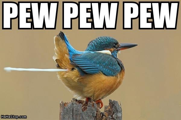 TurMed166's tweet photo. YYEEEEEESSSSS #Opsalol Let's party!!! @nathalie9209 @CtrlSec9
#Daeshbags #BaqiyahDucks #DaeshDucks #DuckState #daesh https://t.co/wStynWpp0w