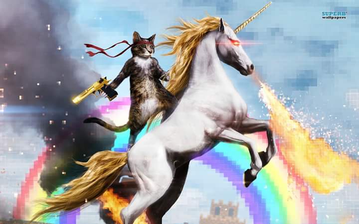 loadev's tweet photo. Mit รผberwรคltigender Mehrheit wurde @anncathrin87 zum Chief Cat Content Officer von LOAD gewรคhlt! (db) #RLT5 https://t.co/YCQi2tsZO0