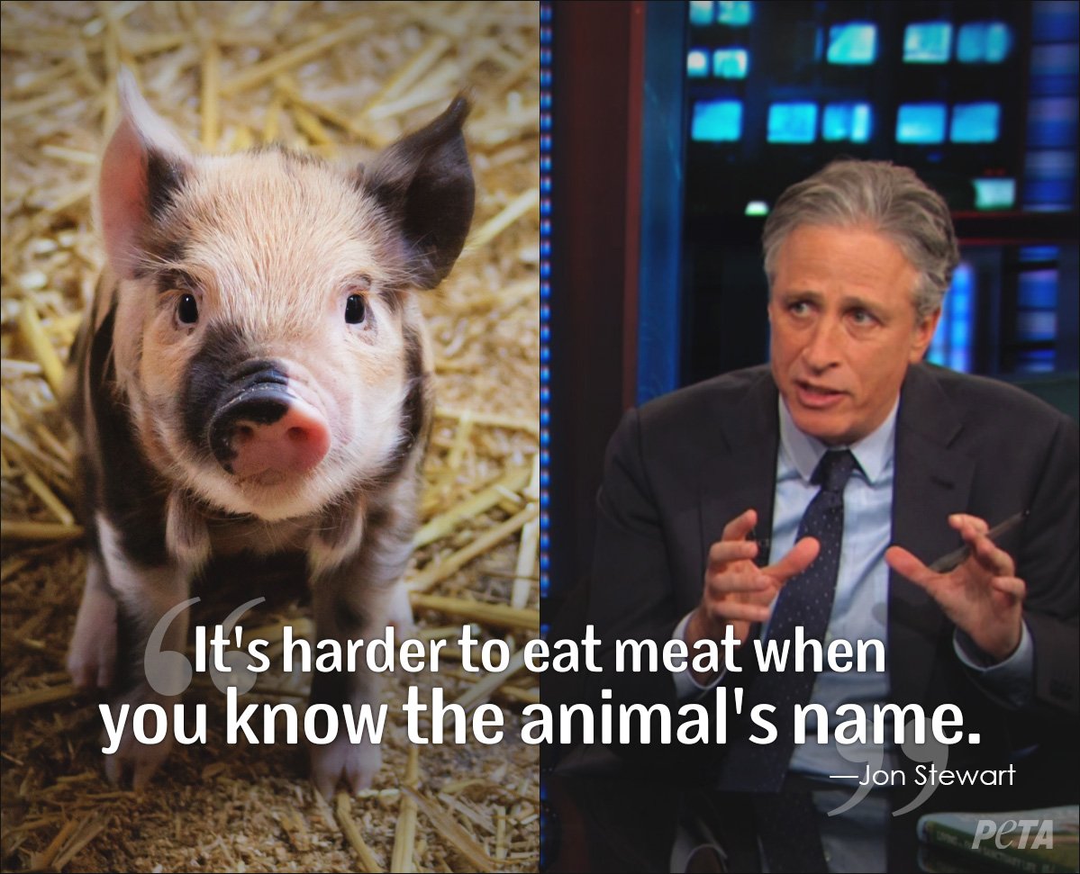 Newly AND a proud rescue dad! Happy Bday, Jon Stewart! Animals are so lucky to have you on their side. 