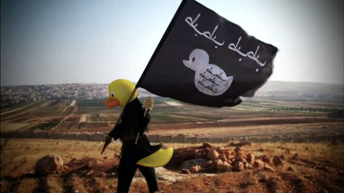 indy100's tweet photo. The internet has decided to photoshop Isis fighters as rubber ducks https://t.co/p3uaZwjKnt https://t.co/kk2TISG5IW
