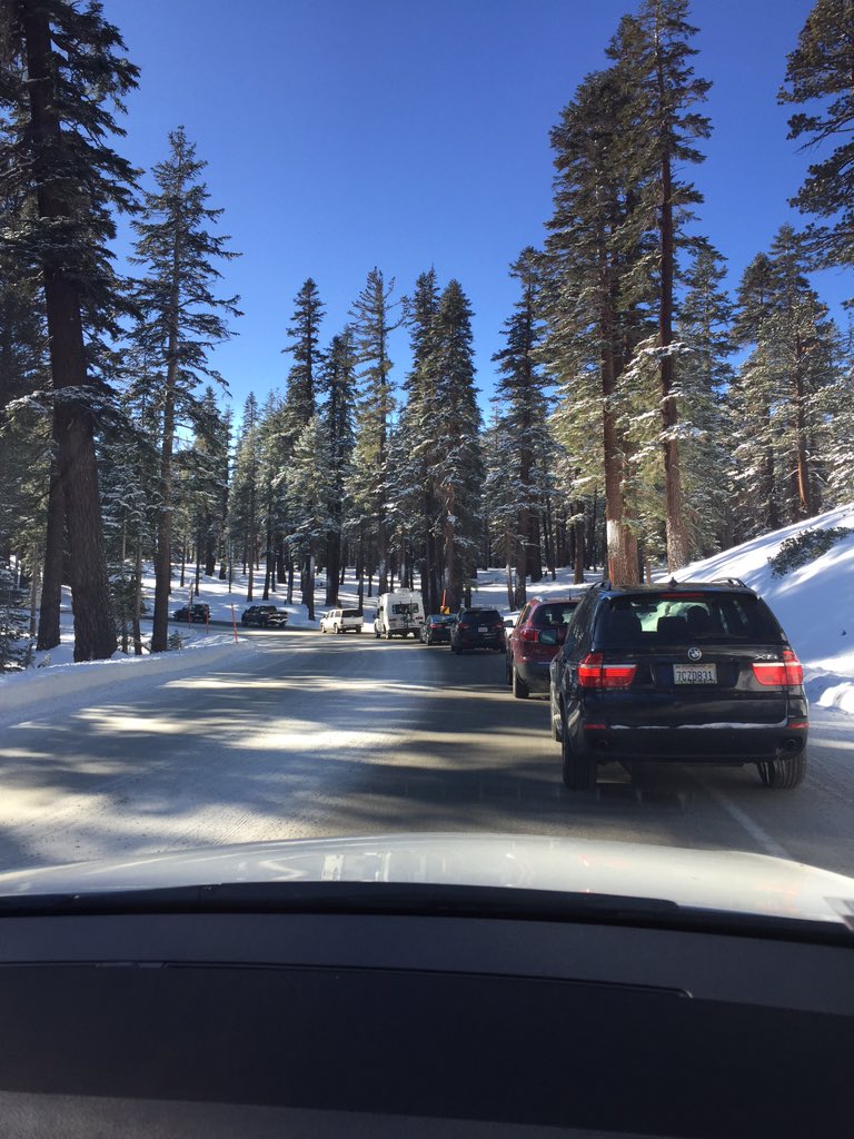 Petra Griffith tweet media