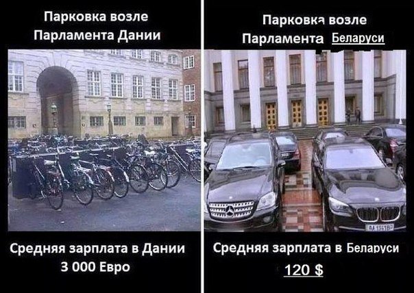 Postim › Беларусь tweet media