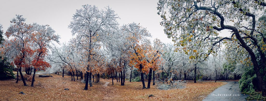 Ice storm in Edmond, OK #okwx <a href="/TVNweather/">TVNweather</a> @reedtimmerTVN