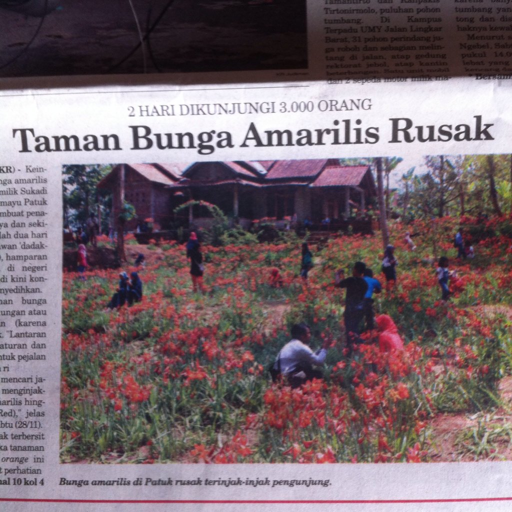 jogjaupdate.com tweet media