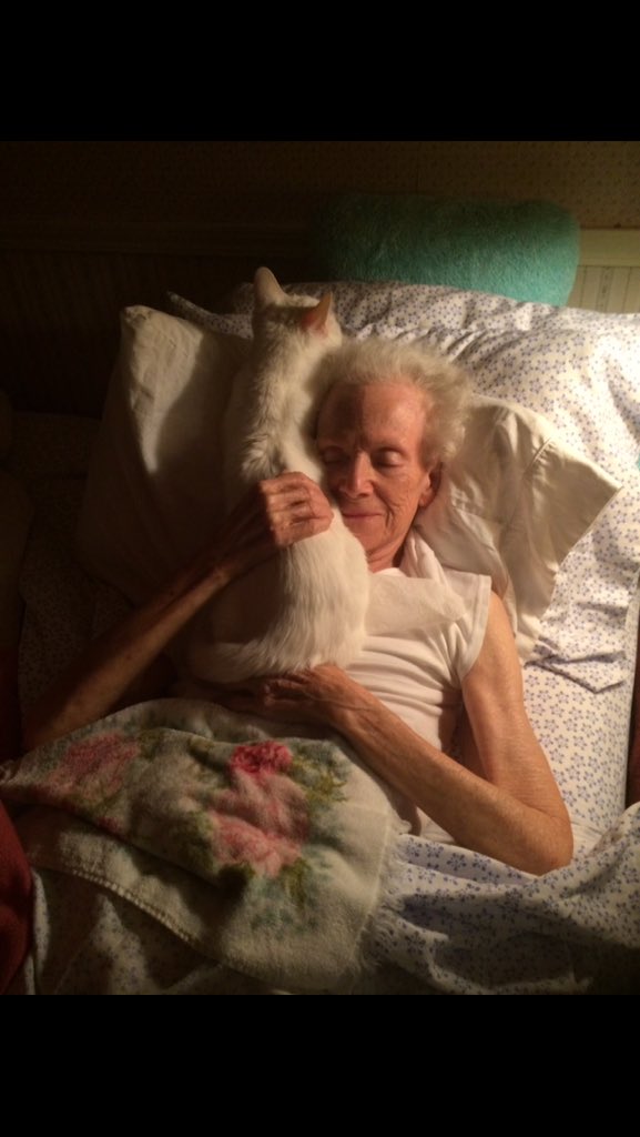 EdieTraill's tweet photo. @sherilynch  Dementia is stealing her mind but it will never take her love for her kitty #loveyoumom #Caturday https://t.co/ulemNjSK0M