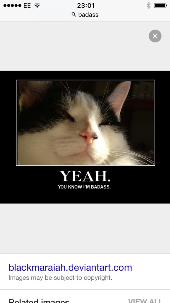 KobeShephard tweet picture