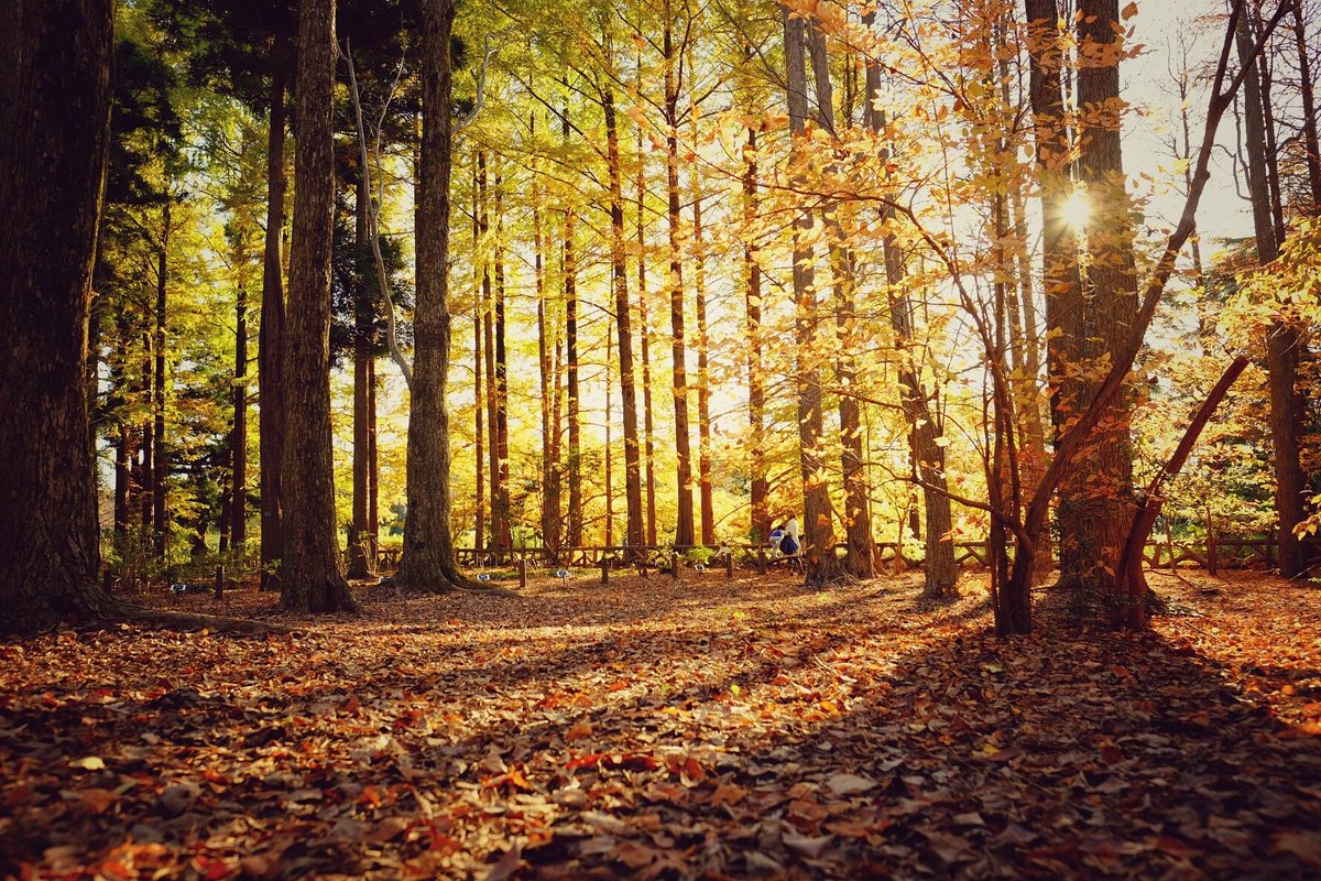 tm99fish's tweet image. 昨日の午後ぶらですぅ