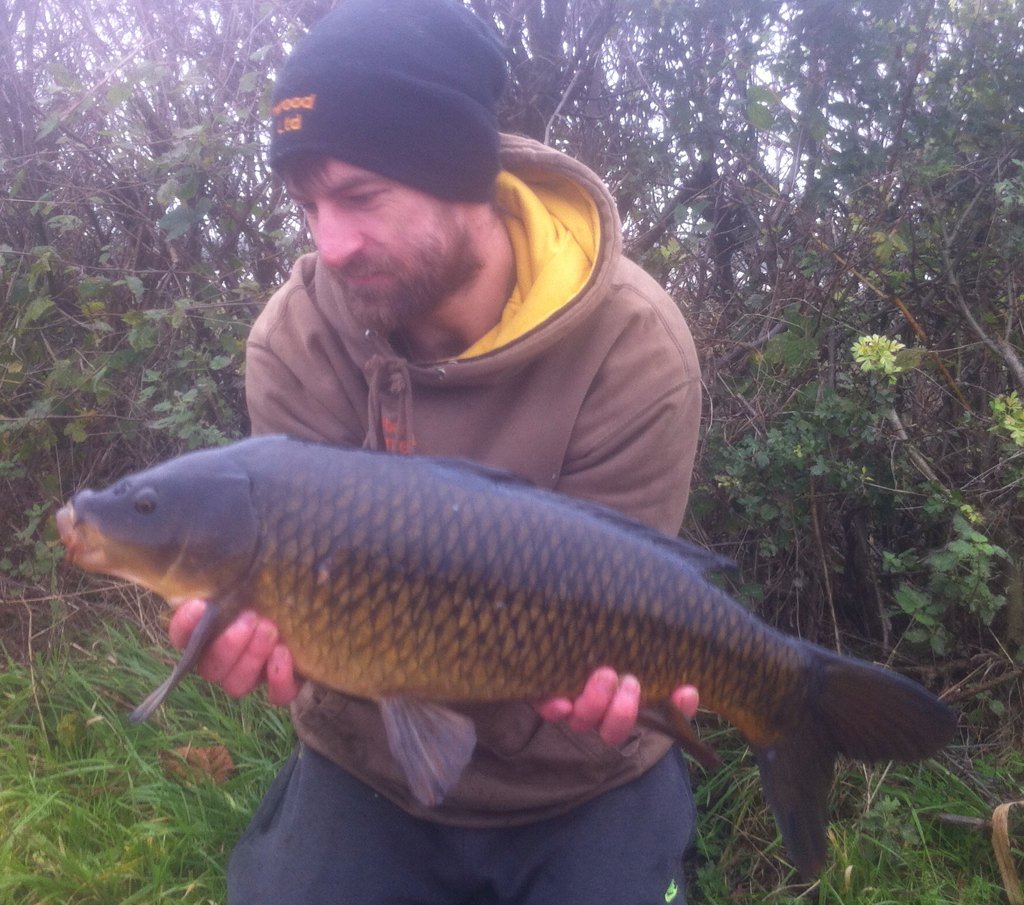 Little un from the cut today, white excelsor pop up and a handful of the test bait to much to resist @beechwoodbaits