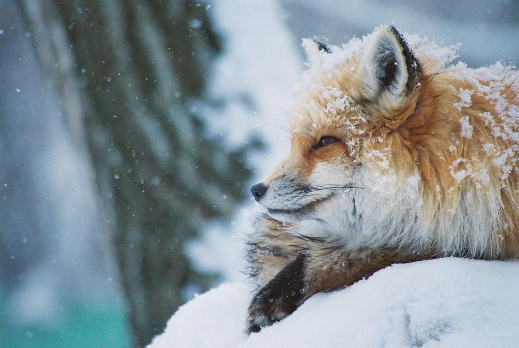 CAPITALISM REQUIRES THE CREATION OF ARTIFICIAL SCARCITY AMID ABUNDANCE