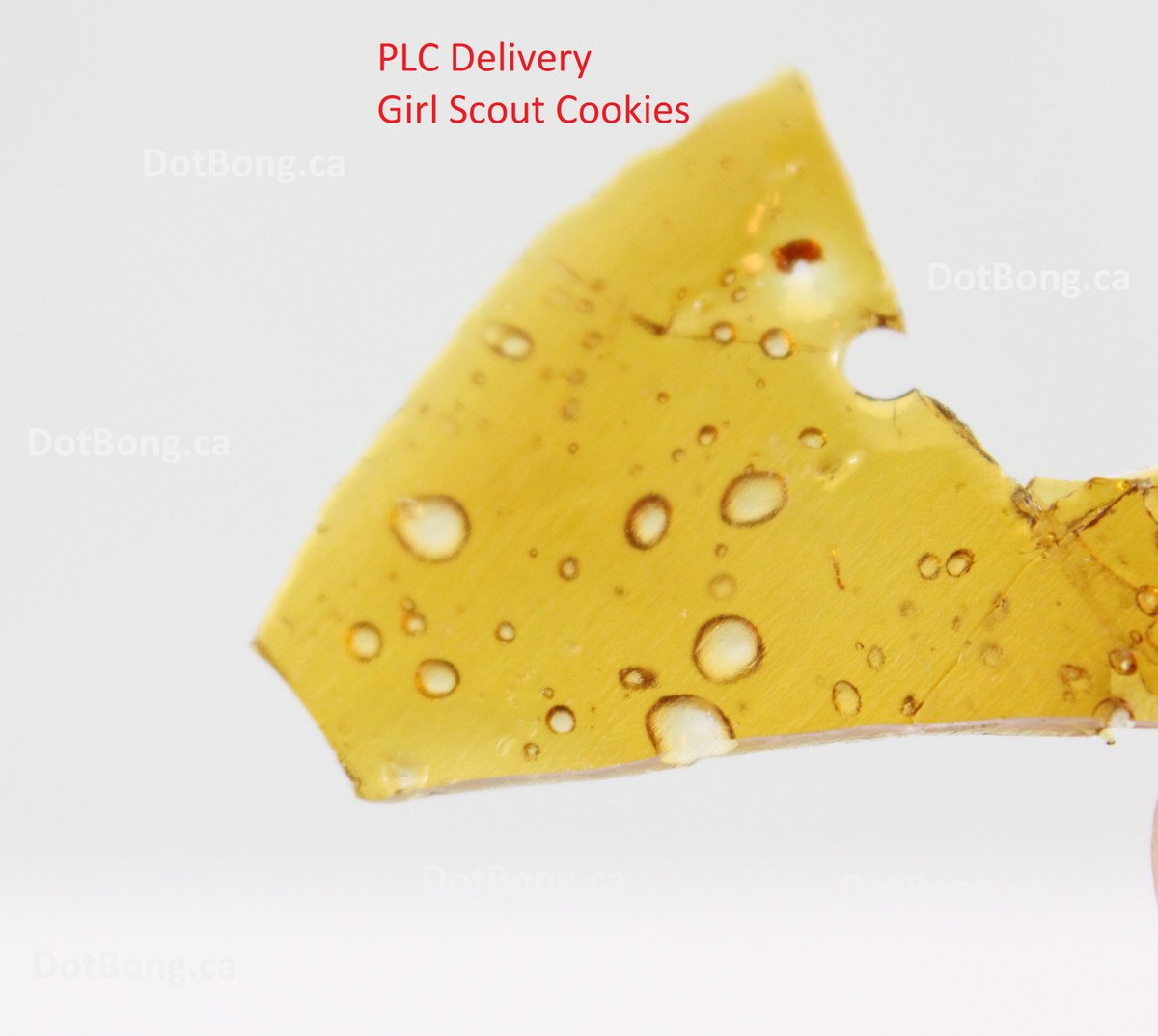 AmeriCanadians's tweet photo. Here is what #cannoisseur #dabs when its #weaponized #thc time
@askplc #GirlScoutCookies #BubbaKush #WhiteCookie yum https://t.co/1JIPj1oncs