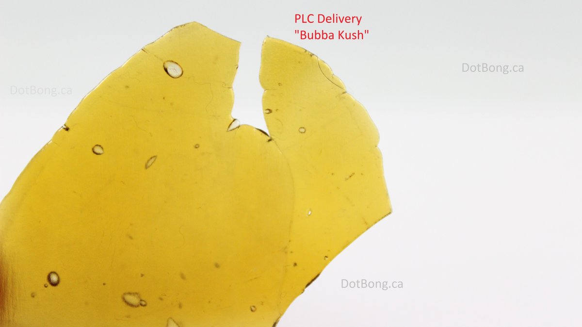 AmeriCanadians's tweet photo. Here is what #cannoisseur #dabs when its #weaponized #thc time
@askplc #GirlScoutCookies #BubbaKush #WhiteCookie yum https://t.co/1JIPj1oncs