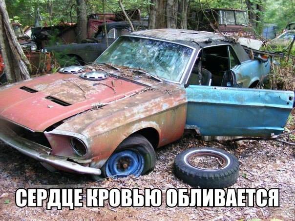 Мужской клуб (@muzhiki) on Twitter photo 