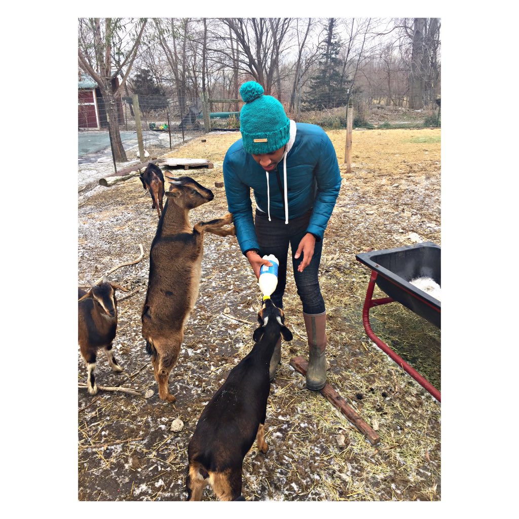 BriceIzyah's tweet photo. Just here in Nebraska feeding my baby goats 🍼🍼🐐🐐🐐 #sanclementeislandgoats #bringbackbrice https://t.co/UTOwKjiSzV