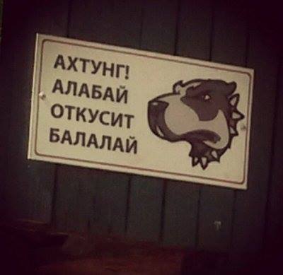 Мужской клуб (@muzhiki) on Twitter photo 