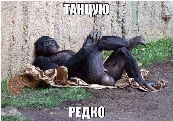 Мужской клуб (@muzhiki) on Twitter photo 