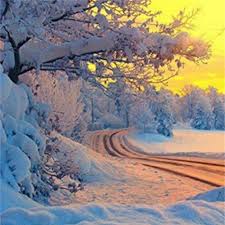 AMlzner's tweet photo. @85wert @Plehanovka 🍁🌹 https://t.co/KAtpzI3oEf