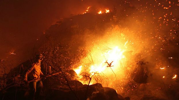 Devastada pelo fogo, mata da Chapada Diamantina só se recuperará 'daqui 15 anos' bbc.in/1Ox27nq