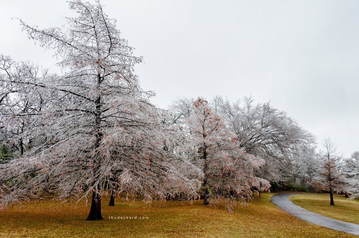 Ice storm pictures from Hafer park in Edmond, OK, via <a href="/thudeckard/">Thu Deckard</a> #okwx