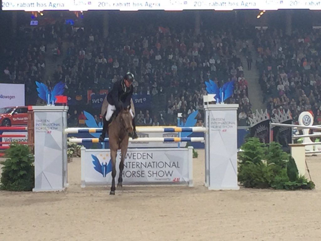 SwedenHorseShow's tweet photo. John Whitaker vinner kvällen sista internationella hoppning! https://t.co/jtQr6m4KfL
