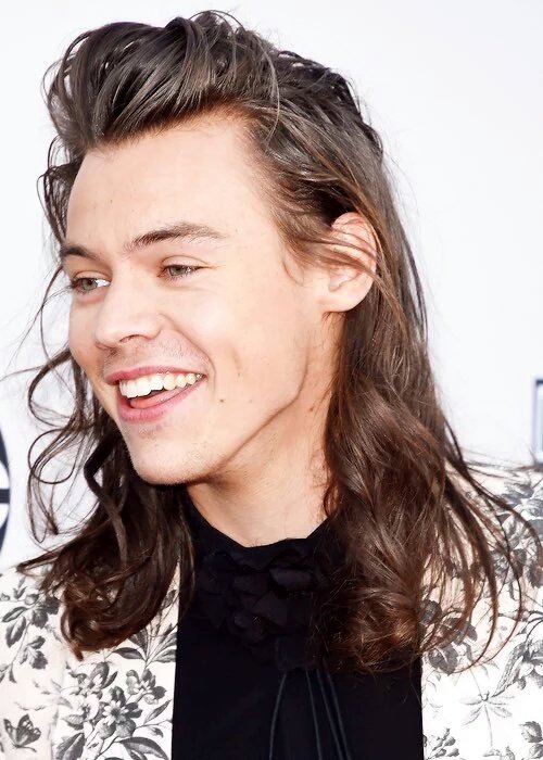 harry's hair (@hesprettyhair) on Twitter photo 