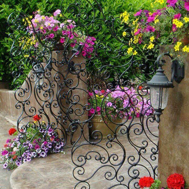 Makeyour_Garden's tweet photo. https://t.co/AJ9tXGZ4UT
