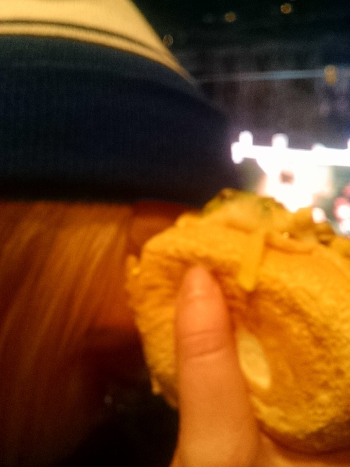 Robophone12's tweet photo. #freedogs #aleafsgame #thankssamsonite https://t.co/JnAnD5hodk