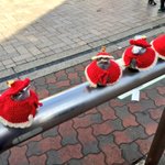 【クリスマス】江ノ島駅前のすずめさん【コーデ】
