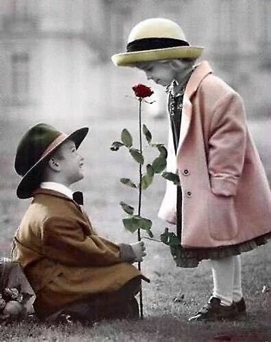 85wert's tweet photo. @Blue_Waterice 🎄🌲🌲🌴🌴💐😘💜👏👏👏 https://t.co/XFhSICjRo9
