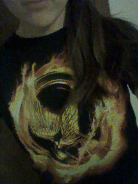 SamWCapretta_89's tweet photo. When you prepare a week early for the movie. #MockingjayPartII https://t.co/sPLuec3yh1