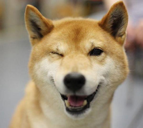 HBudapets's tweet photo. Be happy! https://t.co/F1VSgSO2Mc
