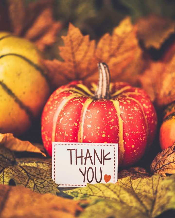 MLiferoc's tweet image. tvcmatrix.com/roadready