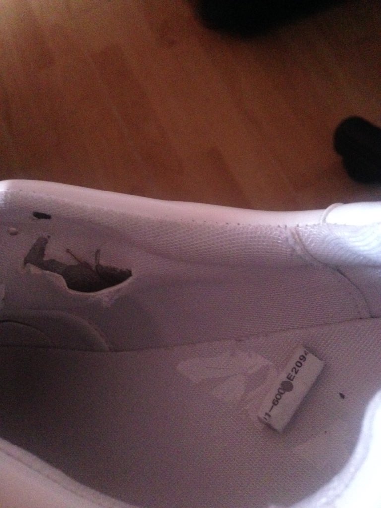 TrunkJF tweet picture
