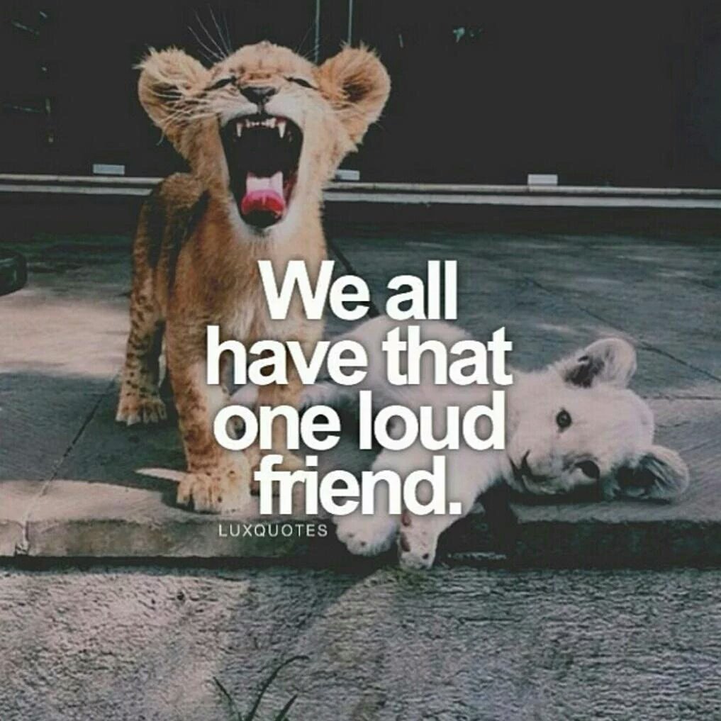 MLiferoc's tweet image. tvcmatrix.com/roadready