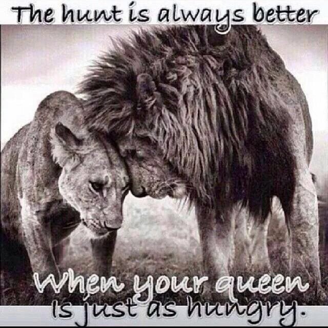 MLiferoc's tweet image. tvcmatrix.com/roadready