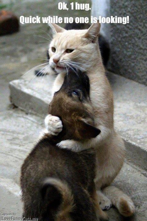 MLiferoc's tweet image. tvcmatrix.com/roadready