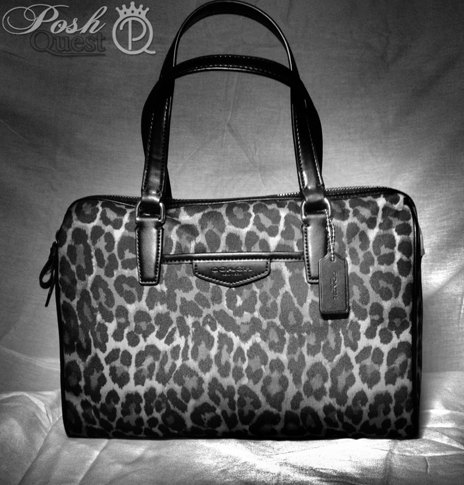 Posh Quest (@PoshQuest)  X