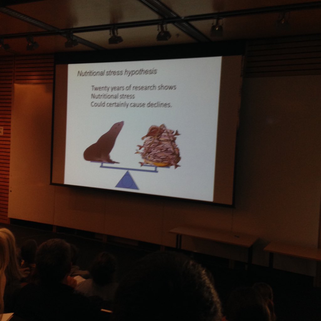 Alana Phillips tweet media