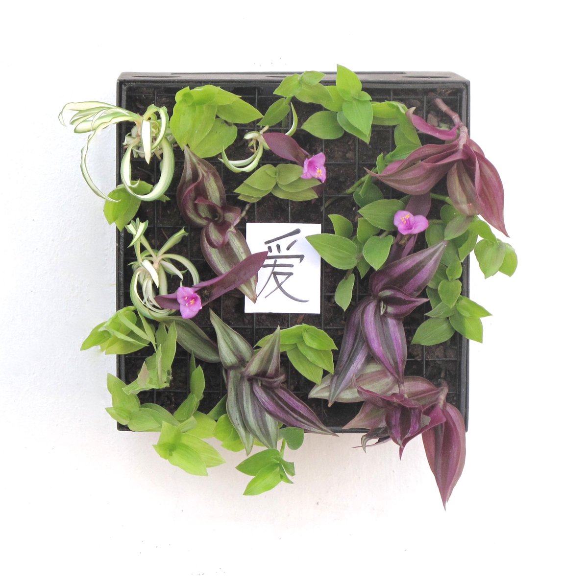 Biomima_Hub's tweet image. BIONIC PAINTING - CUADRO BIONICO #BIONICPAINTINGS #CUADROSBIONICOS #ART #ARTE #BIO #ECO #HONEVO #GREEN #DESIGN #TOY