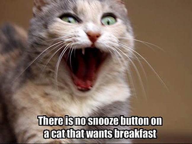 MLiferoc's tweet image. tvcmatrix.com/roadready