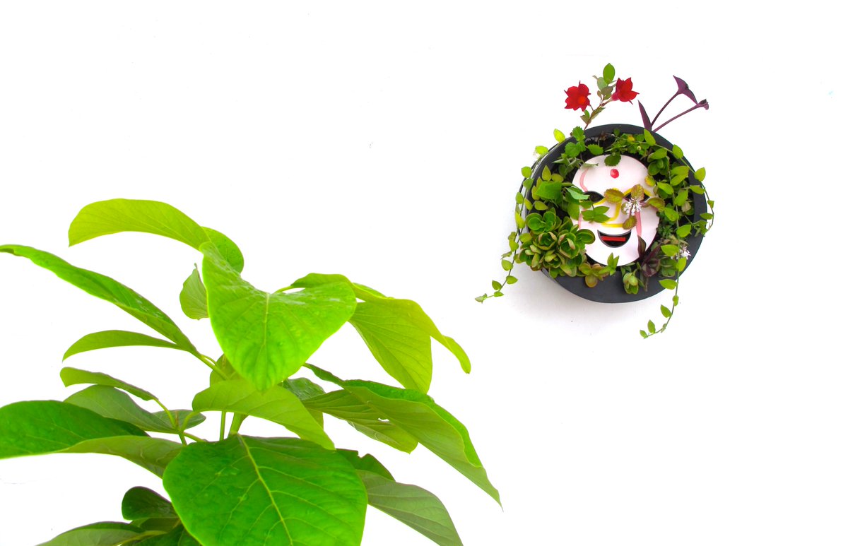 Biomima_Hub's tweet image. BIONIC GARDEN #BIONICART #HONEVO #SUSTAINABILITY #DESIGN #GREEN #GLAMOUR