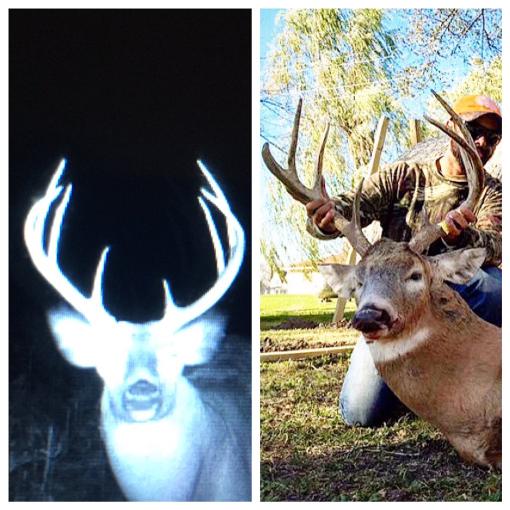 bbeasley922's tweet photo. Before and after π #Missouri #2milebuck #browning #30-06 #coldbeerconversations #belgradestyle #bonecollector https://t.co/DQnz7nSErU