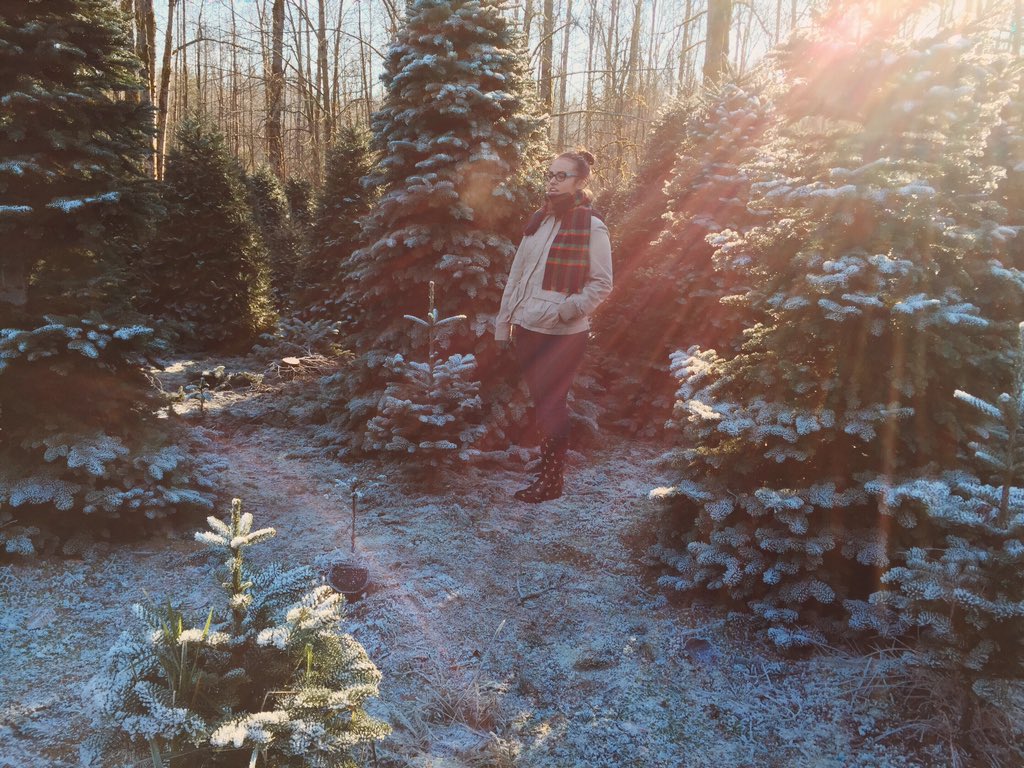 jordanobaya's tweet photo. People who get fake trees don't understand 🌲🔫 #killatree https://t.co/TArlfU8Hy6