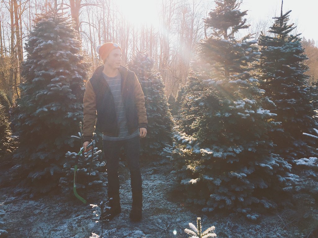 jordanobaya's tweet photo. People who get fake trees don't understand 🌲🔫 #killatree https://t.co/TArlfU8Hy6