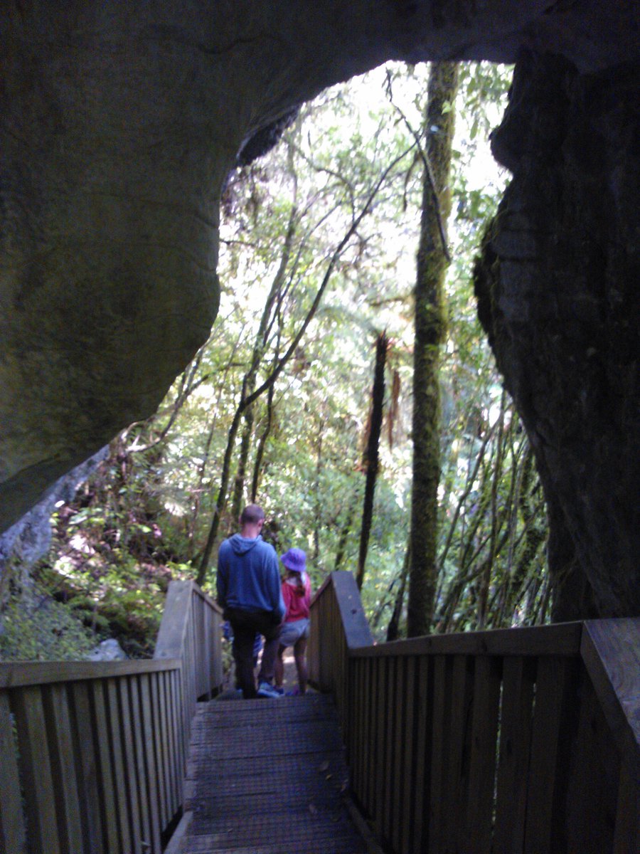 GriffithsDeb's tweet photo. Contender for NZ's best bushwalk: Ruakuri @WaitomoCaves #TakeATorch #NaturalTunnels #river NZMustDo https://t.co/CYBQedTa3I