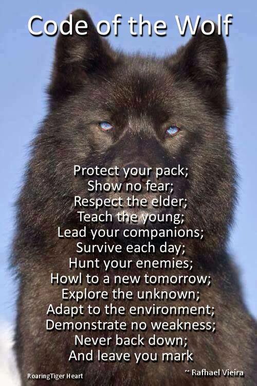 CGAABasketball's tweet photo. #Wolfpack #PrideinthePack #CodeoftheWolf https://t.co/VmHWaXZYnf