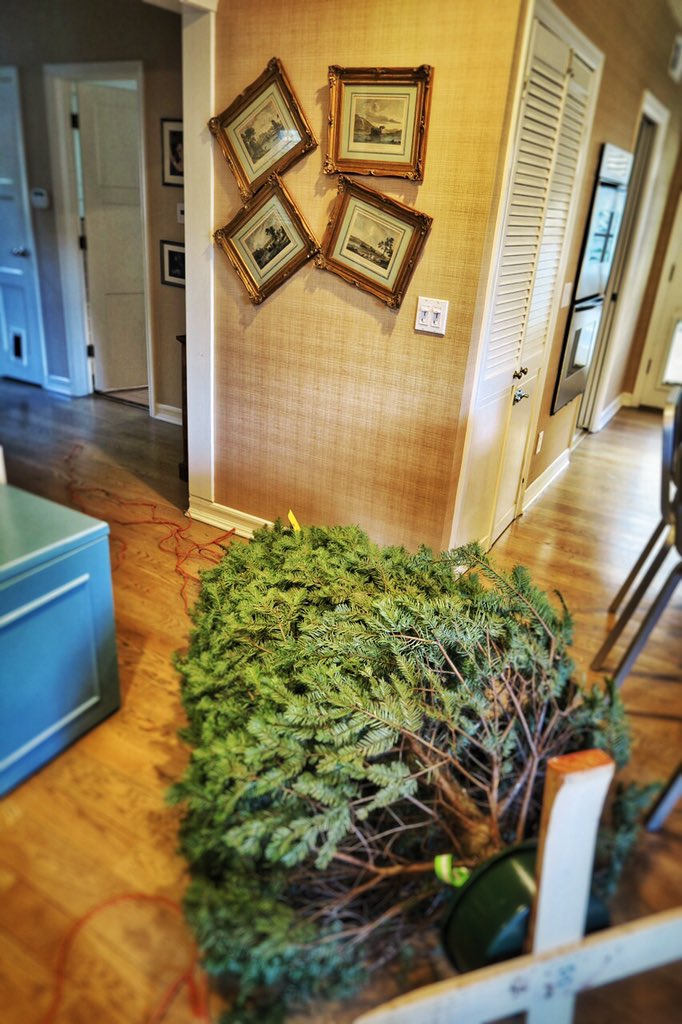 Christmas Tree 1 - Us 0