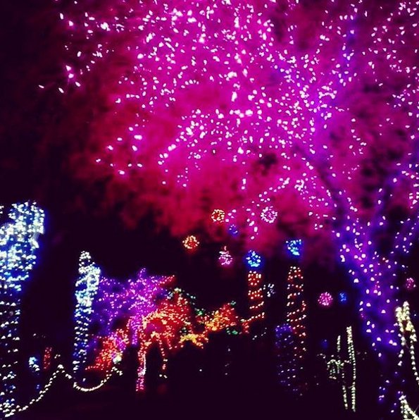 visitphoenix's tweet photo. Visiting Phoenix this winter? Don't miss these seasonal events: https://t.co/3cEUbvZrYs https://t.co/QwiQ2XyoHZ