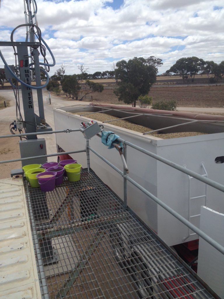 Finally after 400+ ha a load to sell. Sad when u keep more for seed than what u deliver