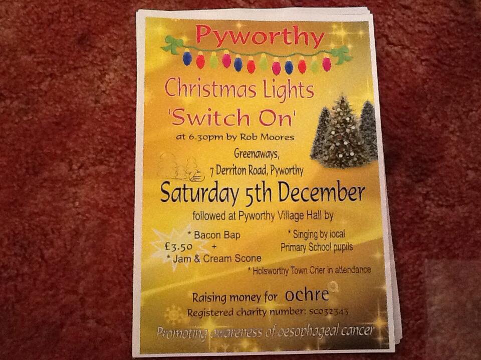 noteworthydevon's tweet photo. Switch on #pyworthy #holsworthy @Devon_Hour @lovenorthdevon https://t.co/BmDYpPrxHg