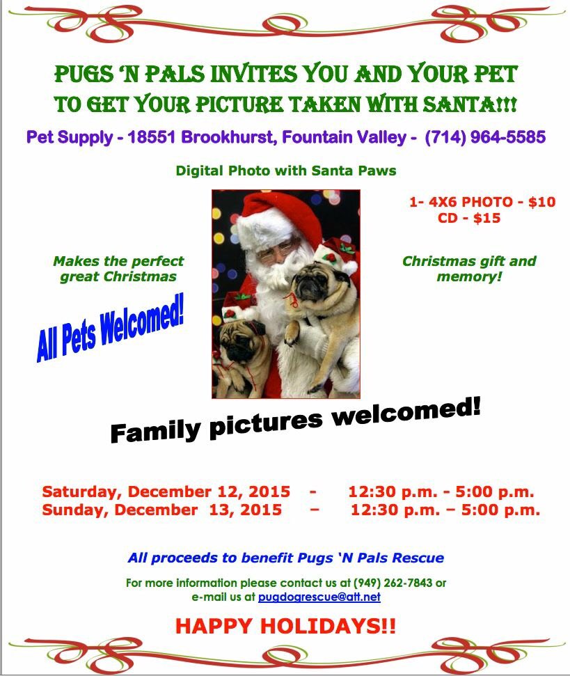 pugsnpals's tweet photo. Calling all doggies: get your photo taken with Santa! All proceeds go to #pugsnpals 🐶 #SoCal #pugs #Santa #dogs #OC https://t.co/pyJ2Dre0QM